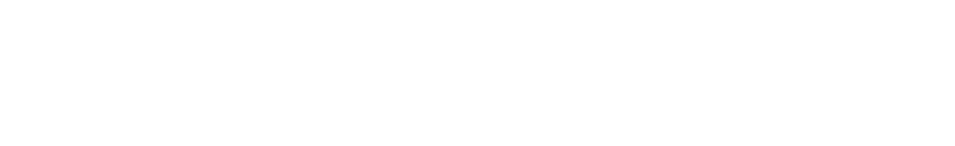 LUDENS logo